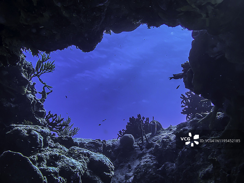 向上看！图片素材