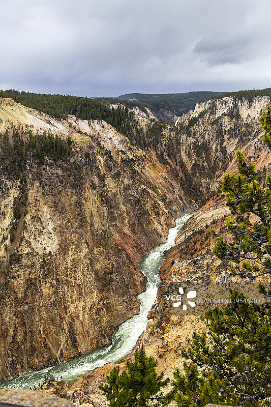 黄石公园的大峡谷图片素材