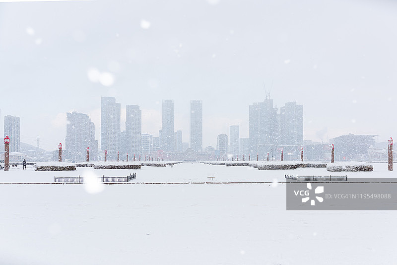 星海金融区雪景图片素材