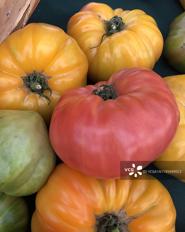 在加利福尼亚州马里布的农贸市场上展示的新鲜农产品图片素材
