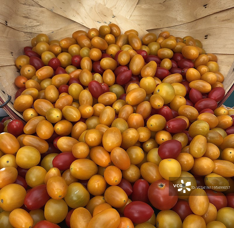 在加利福尼亚州马里布的农贸市场上展示的新鲜农产品图片素材