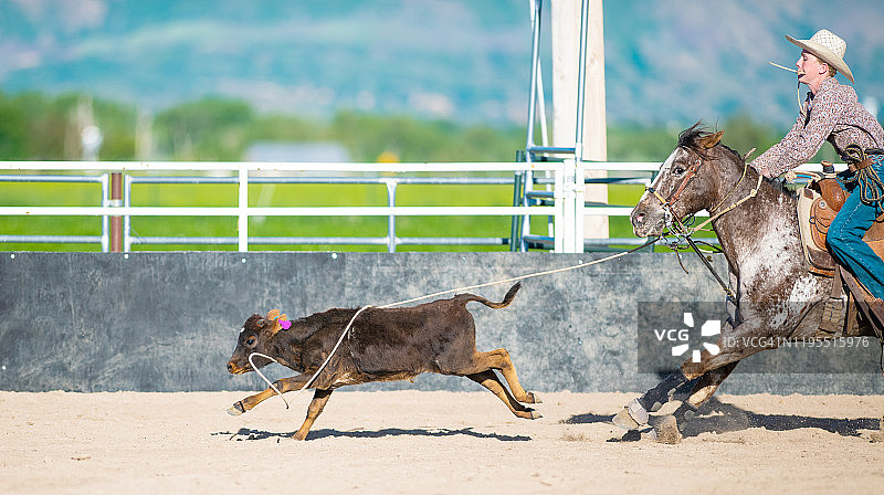 男孩挣脱小牛套索图片素材