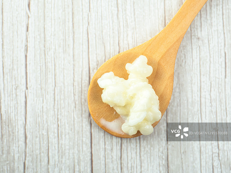 木勺中的开菲尔真菌图片素材