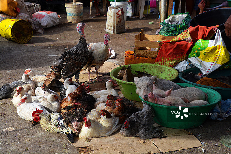 佛得角普拉亚街头市场图片素材