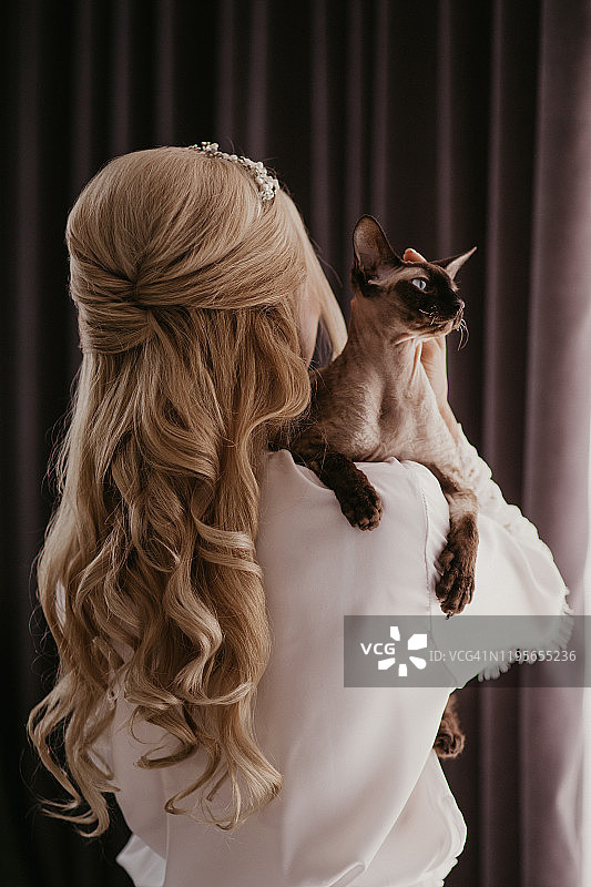 手抱暹罗猫的美丽新娘图片素材