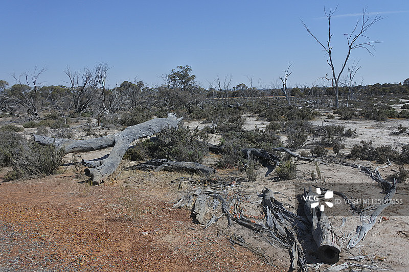 西澳大利亚州内陆景观图片素材
