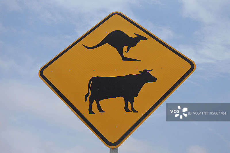 注意袋鼠出没交通标志图片素材