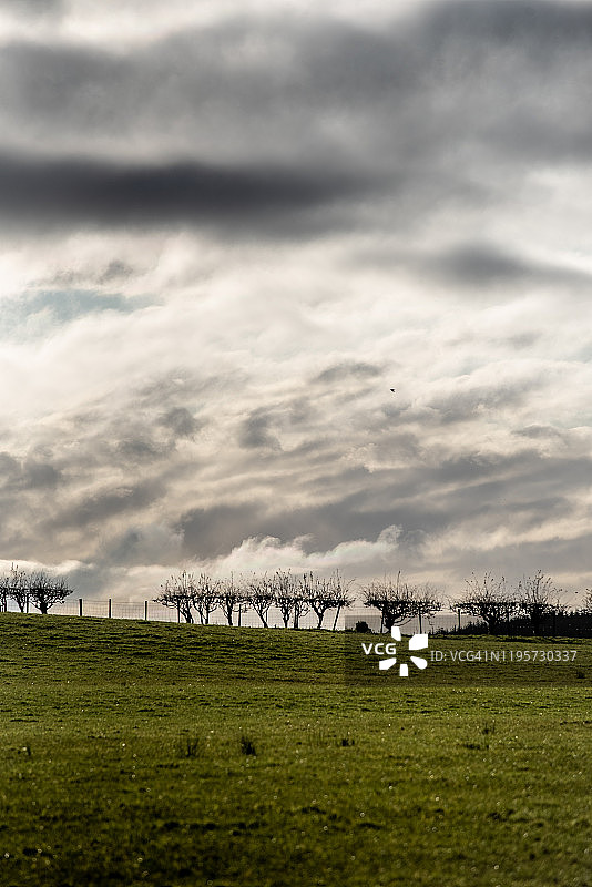 艾尔郡田野上的傍晚光线图片素材