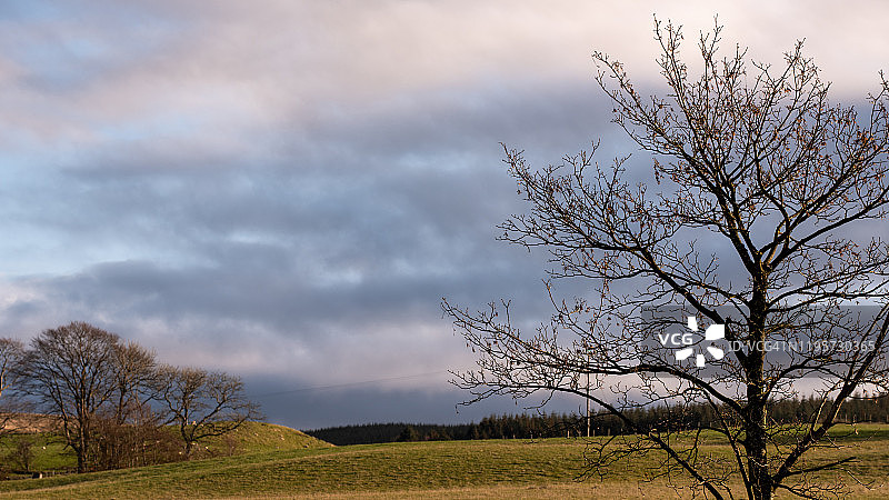 苏格兰艾尔郡的冬季景观图片素材