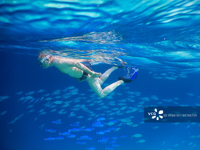 在菲哈后岛热带泻湖浮潜的年长男人图片素材