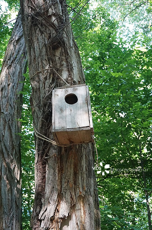 鸟巢箱式鸟屋图片素材