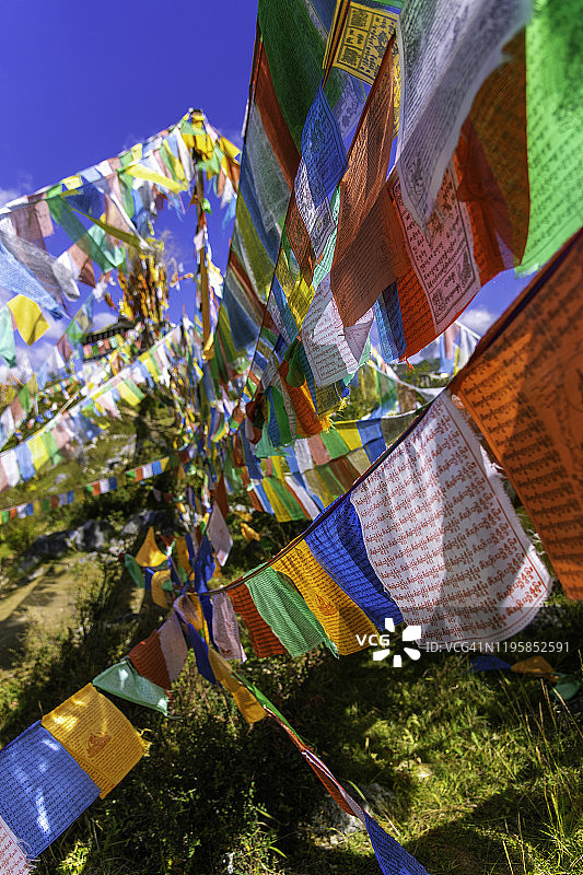 云南香格里拉山上的藏族祈祷旗图片素材