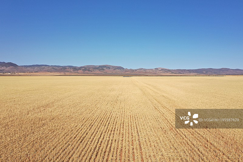 农田，皮里港，南澳大利亚图片素材