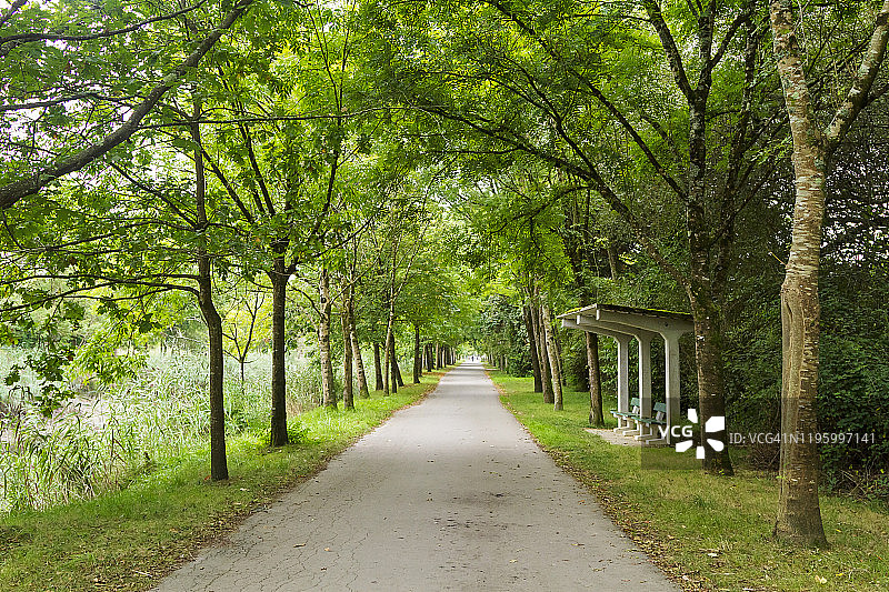 西班牙乌尔达拜湿地图片素材