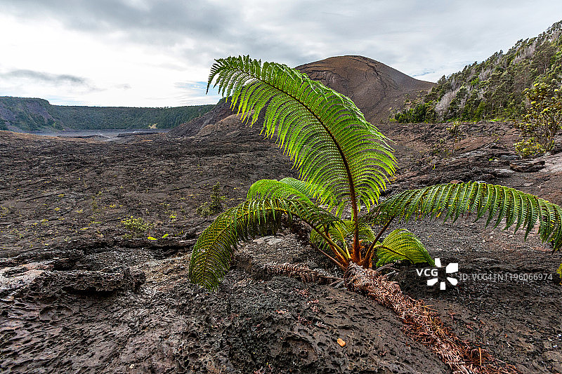 生活总会找到出路图片素材