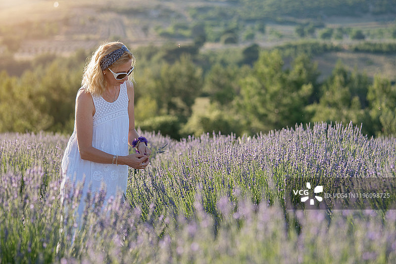 薰衣草田里快乐的女人图片素材