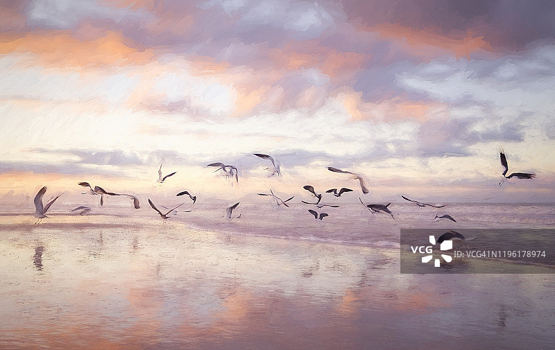 佛罗里达州迈尔斯堡海滩粉色日出中的艺术鸟类图片素材