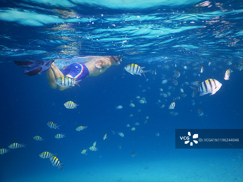 年长的男人在菲哈后岛的珊瑚礁上浮潜图片素材