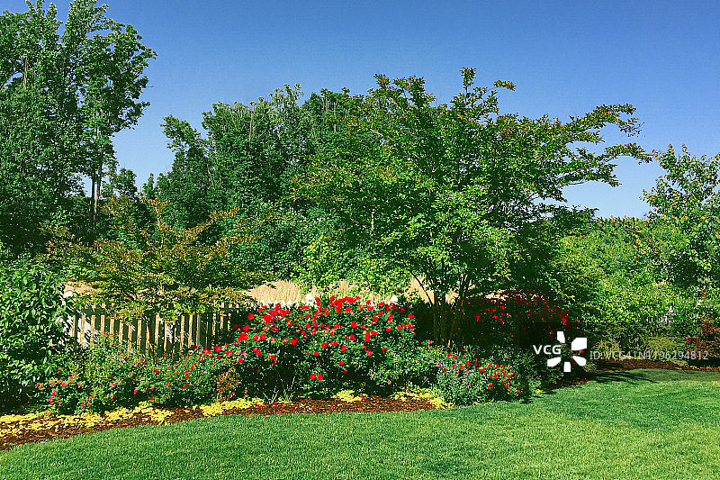 郊区住宅后院的观赏花园图片素材