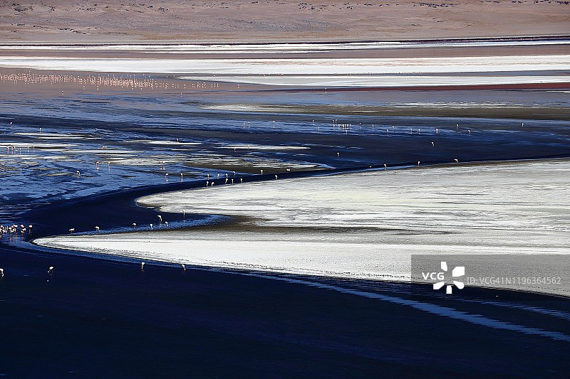 拉古纳Colorada图片素材