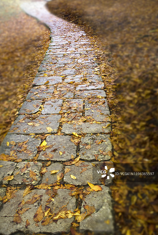 圣马力诺的秋季小路图片素材