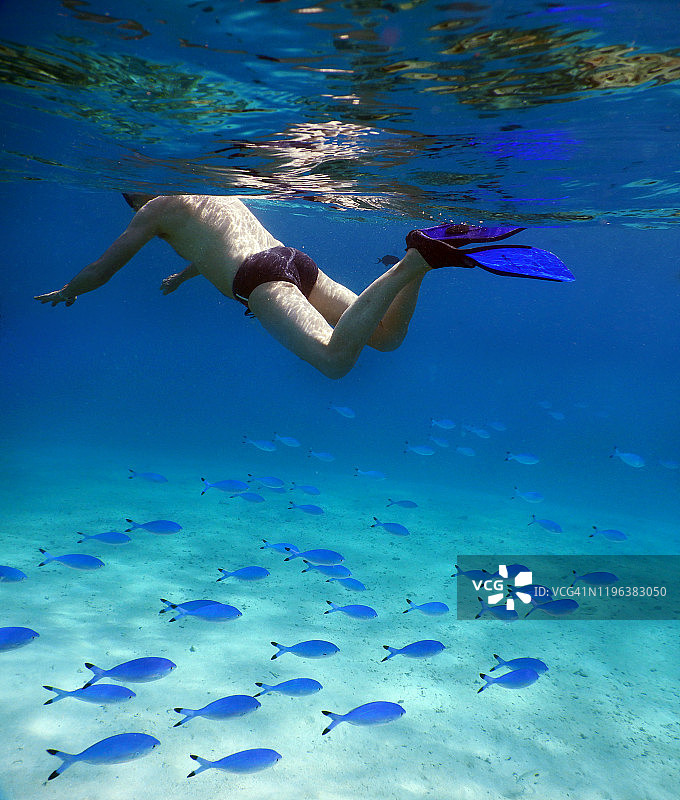 在马尔代夫菲哈后岛礁湖沙洲上浮潜的年长男人图片素材