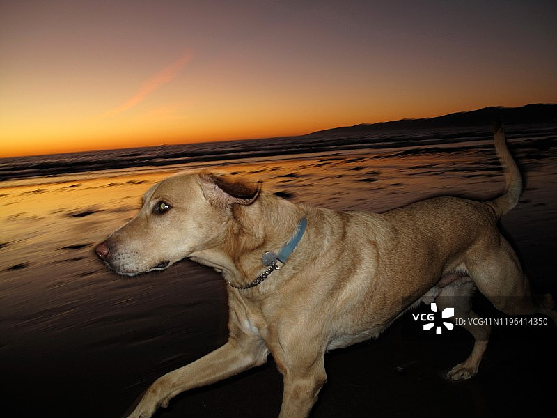 执行任务中，你没看见我！图片素材