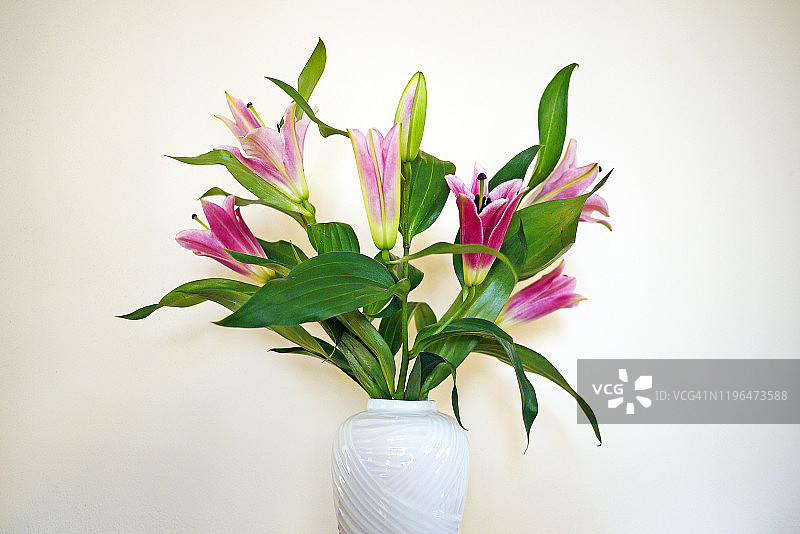 白色背景上的粉色百合花花束图片素材