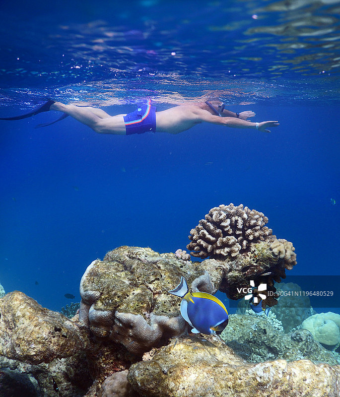 年长的男人在菲哈后岛的珊瑚礁上浮潜图片素材