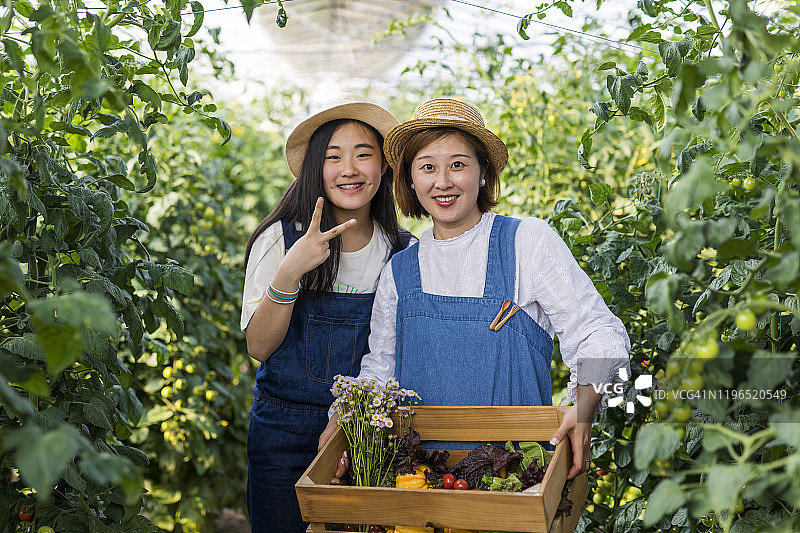 青少年女孩和母亲提着蔬菜篮图片素材