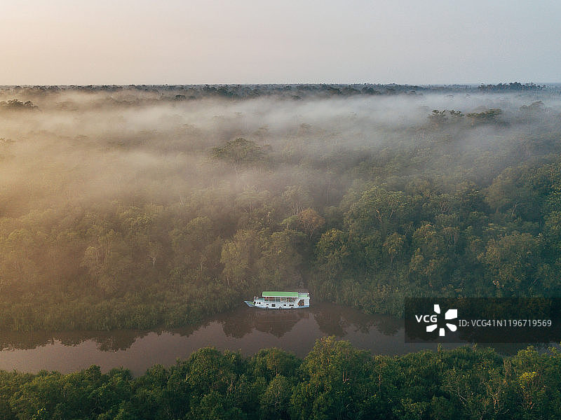 婆罗洲野生动物与丛林图片素材