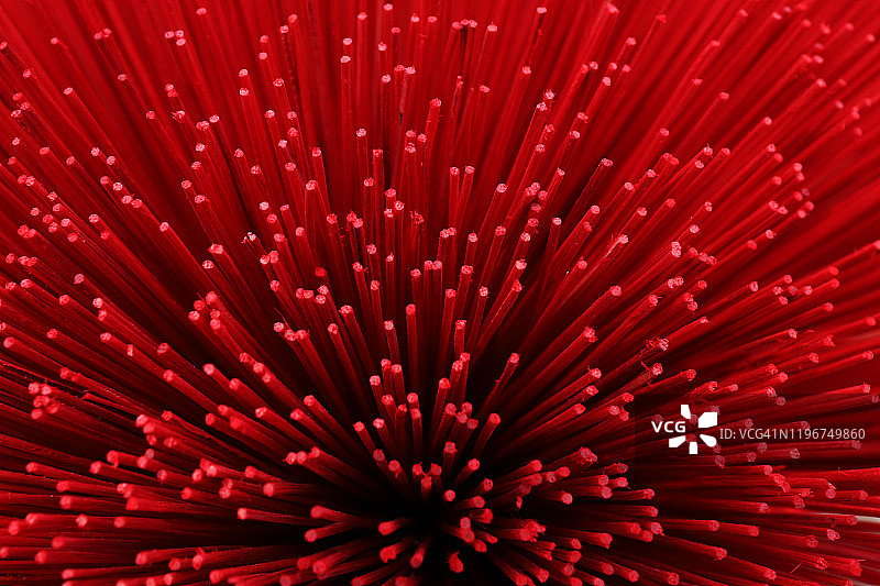 越南北部香村的红色香束特写镜头图片素材