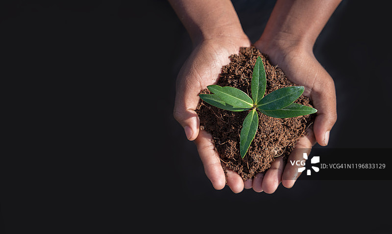 世界环境日概念：地球日，手中拿着树木生长幼苗。儿童手持树木，黑色背景图片素材