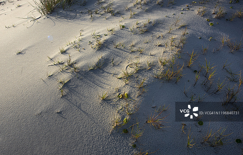 海滩沙丘图片素材