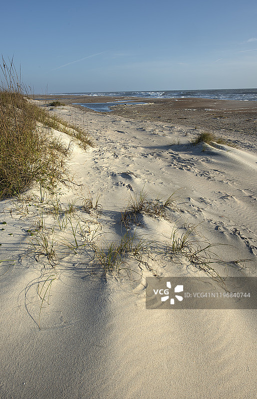 海滩沙丘图片素材