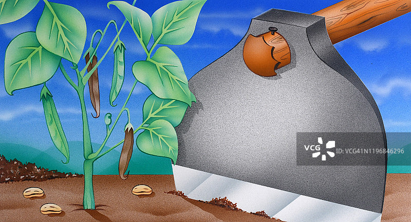 锄头和豆蔓图片素材