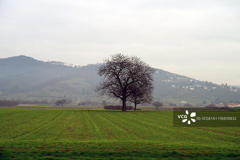 德国海德堡附近的乡村风光图片素材