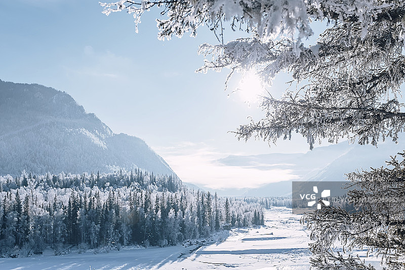 俄罗斯西伯利亚阿尔泰山区，卡тун河上方的冬日日落，雪 покрытые森林图片素材