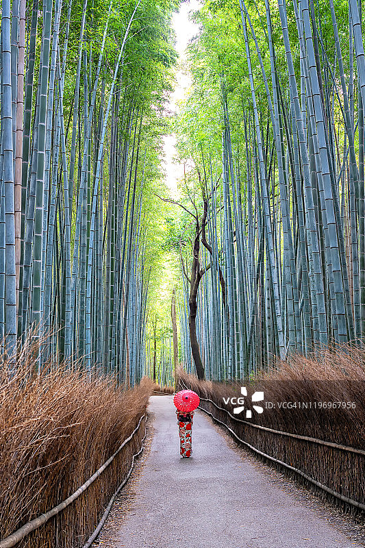 身穿传统和服、在京都岚山竹林中撑着红伞的日本女人图片素材