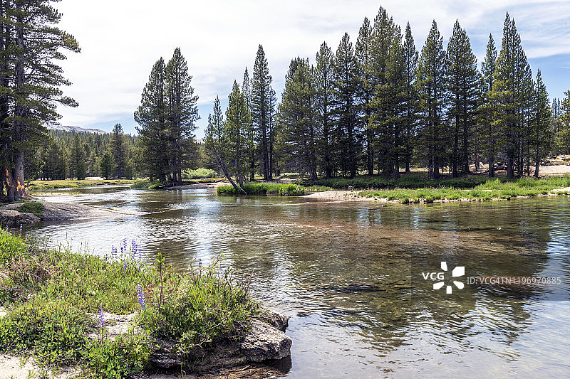 优胜美地国家公园的莱尔图奥勒米河图片素材