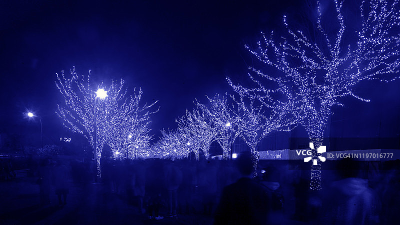 涩谷榉树上的LED灯串装饰图片素材