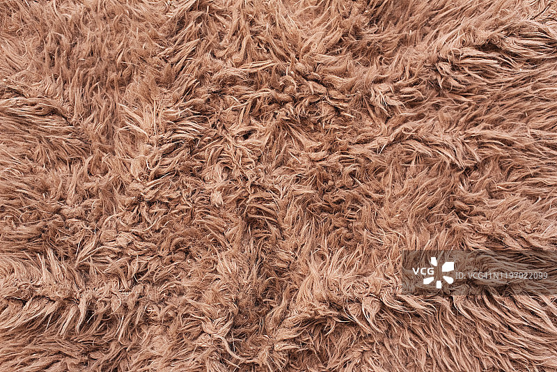 高山 Capra Ibex 动物毛皮特写图片素材