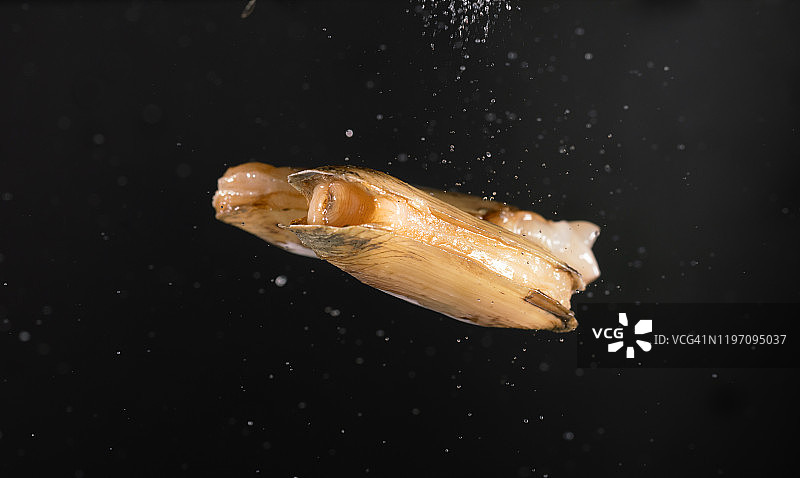 高速同步拍摄的空中缢蛏图片素材