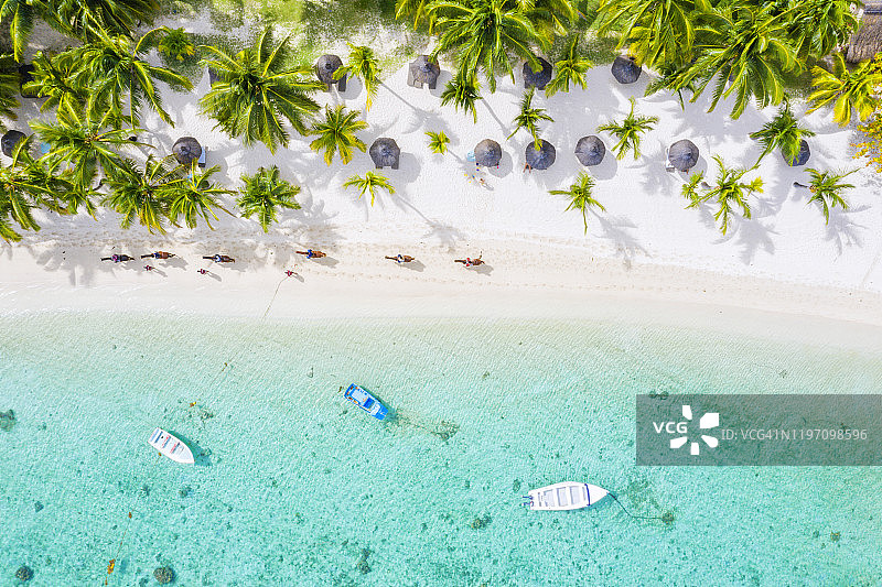 毛里求斯热带沙滩航拍骑马图片素材