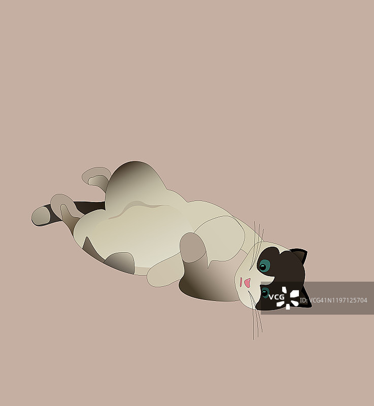 惊讶的猫图片素材