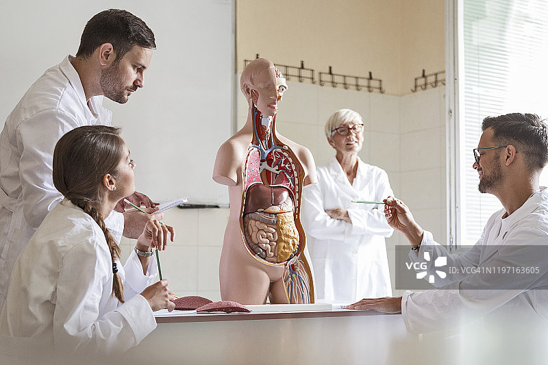 医学生在大学学习解剖学图片素材