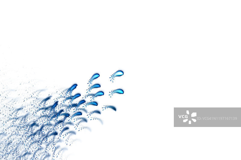 鱼群抽象电脑艺术图片素材