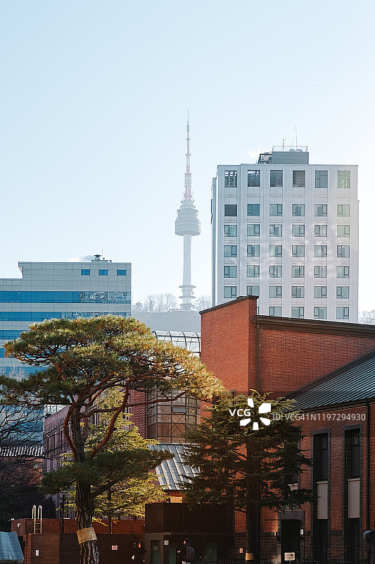 从明洞圣堂观看景色图片素材