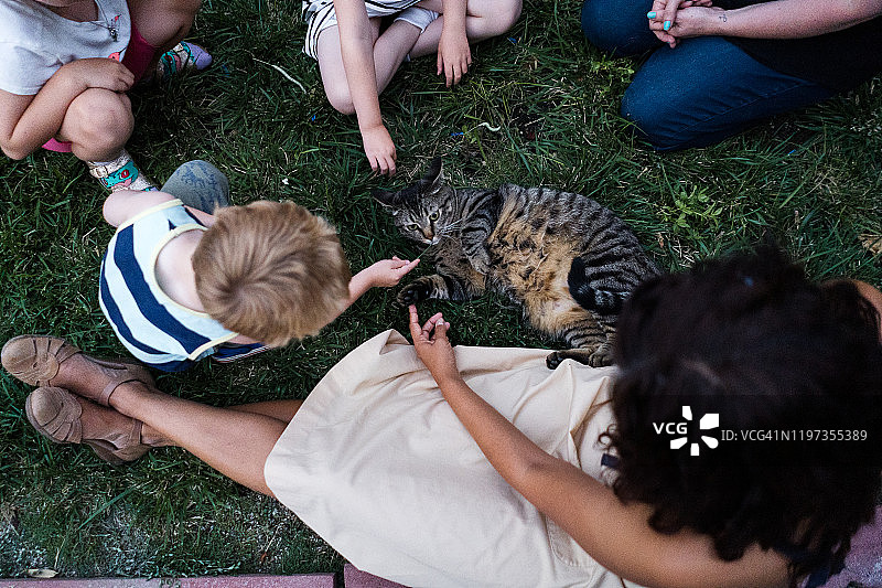 一群人正在抚摸猫咪。图片素材