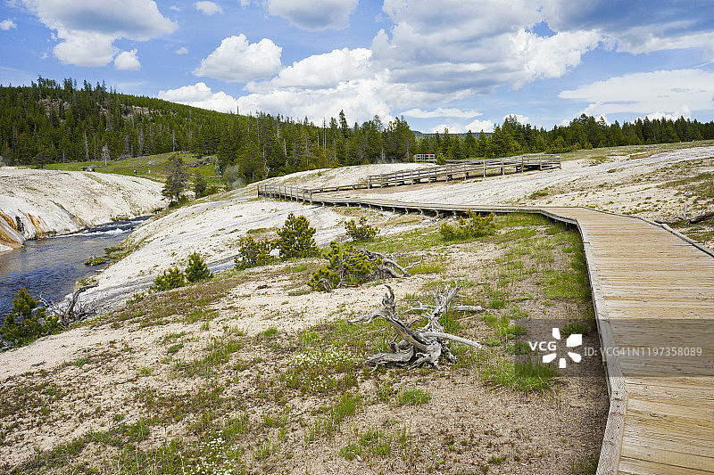 通往黄石国家公园间歇泉山丘群的木板路图片素材